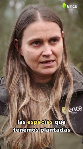 Does selling your wood seem complicated? At Ence Terra, we make it simple and, above all, profita...