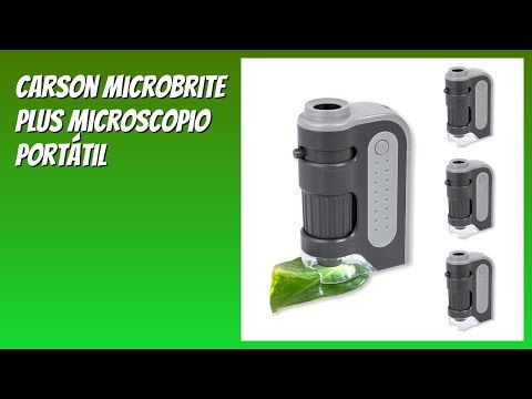 RESEÑA (2026) : Carson MicroBrite Plus Microscopio Portátil. DETALLES