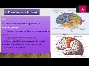 6 Functional areas updated