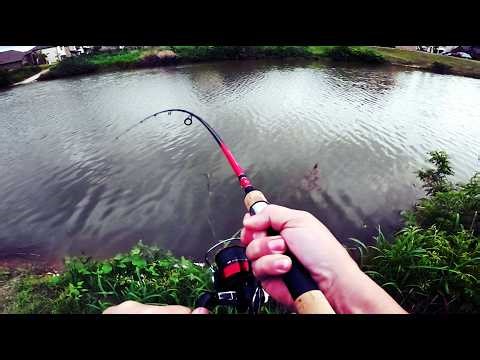 fishing and a RC plane crash
