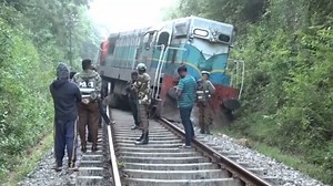 Video. Train collides with elephants in Sri Lanka, causing derailment and animal fatalities