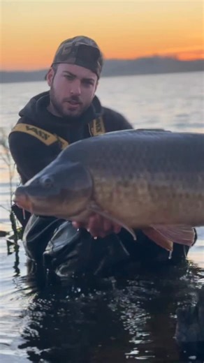 edu on Instagram: "PLAKTON KRILL…KROM QUALITY ¡¡Muy buenas noches a tod@s!! Hoy os presento esta preciosa común que tuve la suerte de engañarla con el PLAKTON KRILL ,una vez más este cebo dándome peces y la verdad que es mi favorito en este escenario… Otro pez más que me brinda el GARFIO de @universecarp ,la verdad que estos anzuelos se tienen ganada ya mi confianza 🐳. Espero que os guste el vídeo y solo deciros que lo mejor está por llegar…. #plaktonkrill #kromquality #elcarpodromo #universeca