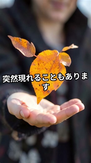 10月、運がいい人がチャンスをつかむ5つの習慣