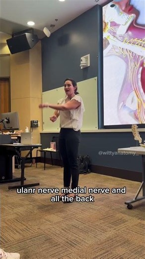 🧠The lower limb🦵 is AS EASYYY✨