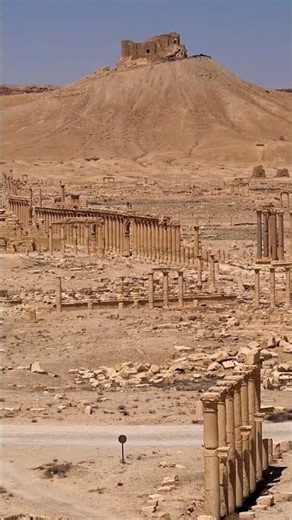The Ancient Wonder of the Desert in Syria.#Palmyra #travel #history