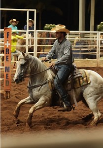 Branquela: Dicas para Ranch Sorting com Cavalos