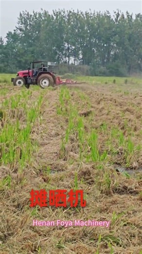 Tractor Trailed Hay Tedder with 4 Rotors-Foya Machinery #machine #agriculturalmachinery