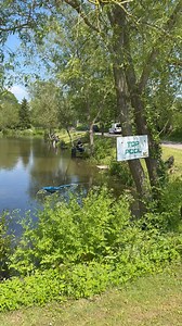 Mick STAMP is sacking on the Top Pool. 🤩🎣 #tbfover50s | Catch More Media