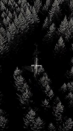 Arcade - Duncan | lyrics | aesthetic | whatsapp status | English songs | slowed | speedup 🥀🍁