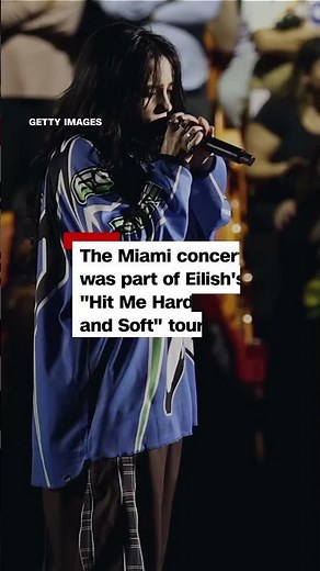 Social media videos show concertgoer grabbing Billie Eilish