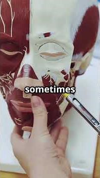 Cyclopia: Shocking Rare One-Eyed Birth Defect!!! #tiktok