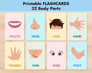 32 Body Parts Flashcards, Printable Montessori Flash Cards,pre-school Cards Learning, Educational Back to School Nomenclature Activity Toys - Etsy
