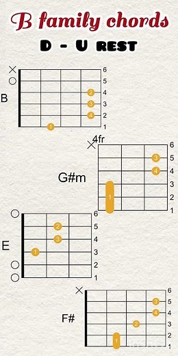 B major chord combination || B relative chords #acousticguitarchords #Bmajorchords #guitar