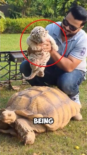 Cats Doing the Most Random Things 😭🐱 (last one shocked me)