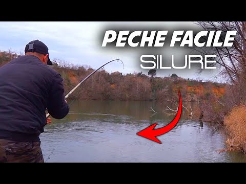 COMMENT on PÊCHE des SILURES MONSTRE FACILEMENT