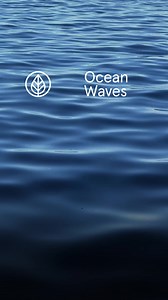 11K views · 34 reactions | Endel on Reels | Facebook