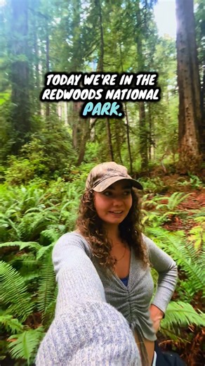 ALASKA | ADVENTURE | ROAD TRIPS | TRAVEL on Instagram: "These are some of the tallest trees in the world 💚 & one of the most magical places I’ve ever been to 🌲 - - - - #redwood #redwoodnationalpark #nationalparks #trees #nature #explorepage #tallesttowerintheworld #solotravel #femaletraveler #california #californiacoast #adventure #letsgoexplore"
