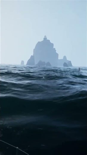 WILL: Follow the Light is looking beautiful | Full release soon!