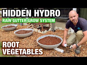 Hydroponic Root Vegetables in a Rain Gutter Grow System
