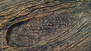 Bark of a tree. 4K Footage wood texture of the cement relief plaster on concrete wall