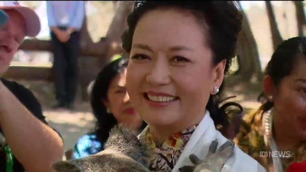 彭丽媛：为中国国家主席习近平铺设权力之路的著名歌唱家