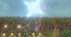 33K views · 512 shares | The "Heartland" video is finally here! Even though I'm hours away from the Heartland, where I was born and raised, I'm still so connected to it. This video was shot back in Iowa where I grew up. I hope it makes you feel like you're coming home to experience it with me firsthand. <3 | Hailey Whitters | Facebook