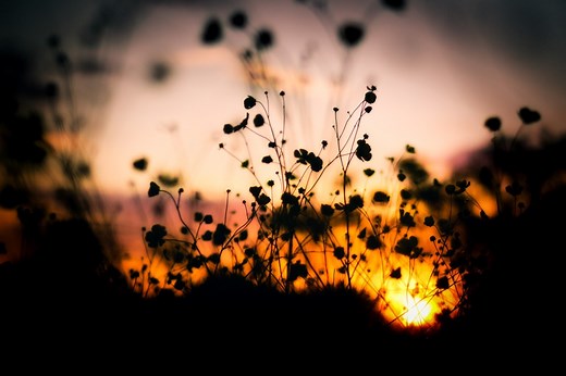 作業用BGMにオススメ！長時間の自然環境音のサウンドエフェクト | digitalelf