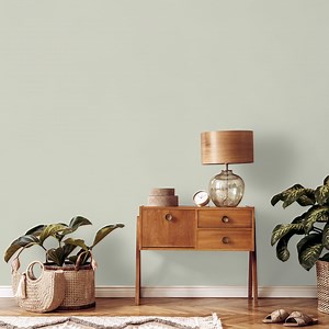 Solid Color Wallpaper With a Minimalist Look in Pale Sage Green - E234 - Etsy