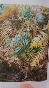 How to pick a color palette #coloring #colors #colorpalette