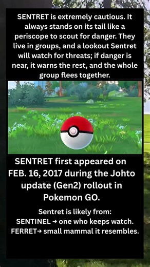 SENTRET Pokémon Origins in GO: First Sightings & Fun Facts