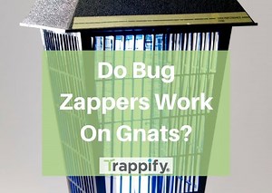 Do Bug Zappers Work on Gnats? 5 Alternatives to Try