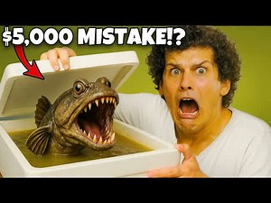 Spending $5,000 on unknown fish was risky: The unboxing was insane!