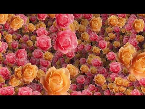 Flowers Intro Title Background Video HD