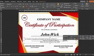Editable Certificate of Participation Template, Certificate of Recognition, Completion Certificate, Appreciation, Training, Company Awards - Etsy