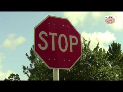 ROAD SIGNS GALORE! Do you know what the road signs mean?