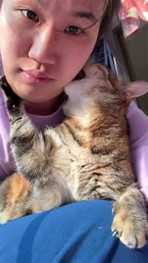 Title (English): Mom's Unforgettable Denture Drama: A Hilarious Senior's Adventure