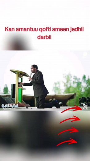 Arara TV Live Broadcast