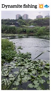 Dynamite fishing 💥 watch till the end 🐟 | Rohan