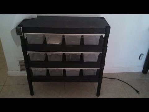How To DIY Reptile Rack