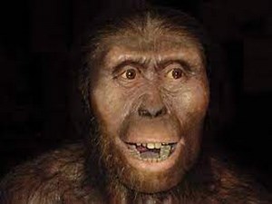 Puzzle de  la evolucion del ser humano , rompecabezas de