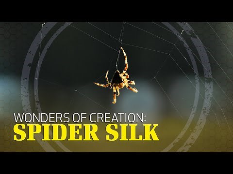 Wonders of Creation: Spider Silk