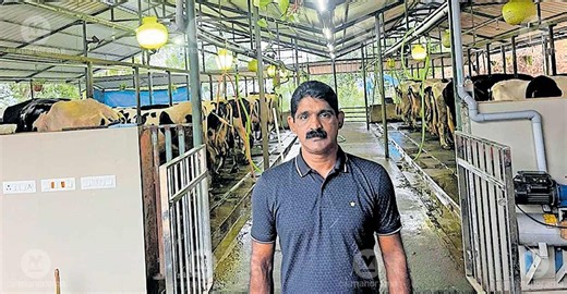 Meet Wayanad's Pulparambil Thankachan who won state award for the best dairy farmer