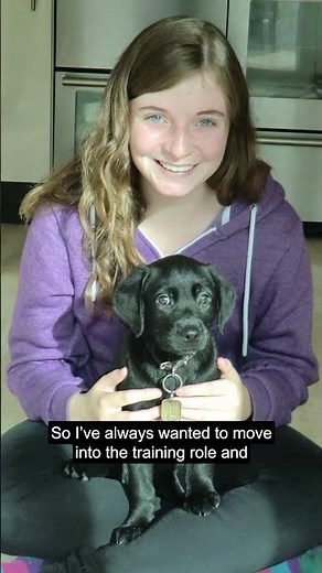 From Puppy Raisers to Guide Dog Trainers! #GuideDogs ¢GuideDogsUK #Volunteering #Volunteer #Shorts