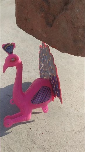 Remote control wow mini peacock #shorts