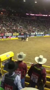 213K views · 8.3K reactions | Slick By Design & Michele win the round with a 13.49!! FASTEST time of the rodeo! | Highpoint Barrel Horses | Facebook