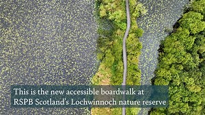 Join us for a walk along the new boardwalk at our Lochwinnoch nature reserve. Head down for a day out to get close to wildlife and experience the wetland in a way that was previously impossible. This project has been delivered as part of the National Lottery Heritage Fund backed Garnock Connections Project. We are grateful for generous additional funding from Visit Scotland through the Rural Tourism Infrastructure Fund and from Historic Scotland as well as support from Renfrewshire Council. | RS
