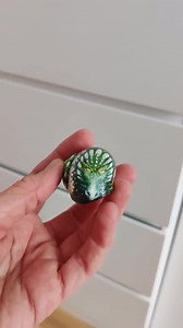 Dragon of Daisies Snail Shell, Hand-painted Snail Shell (roman Snail) Cruelty Free - Etsy Canada