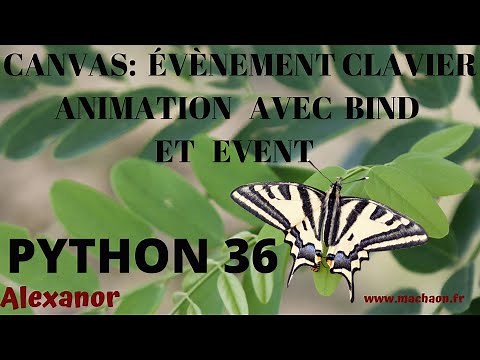 Programmation Python #36 - Evènement clavier et tkinter