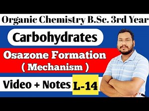 Formation of osazone mechanism, Glucose Fructose, osazone formation, BSc 3rd year organic chemistry