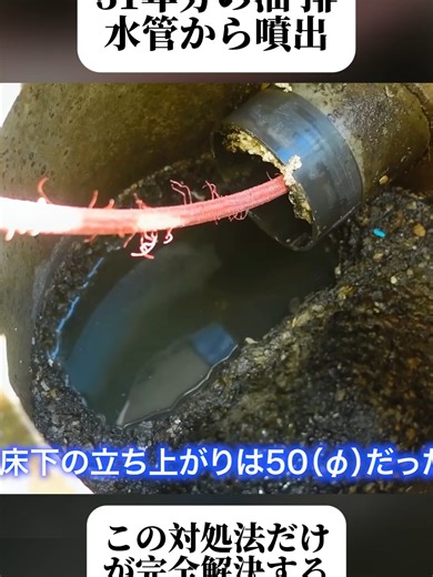 築３１年！４mの排水管にこんなに？面白いくらい油が出てくるぞ！！(1/4) #詰まり対策 #水回りトラブル #キッチン排水 #掃除のコツ #おうちメンテナンス #簡単掃除 #生活改善 #fyp #foryoupage❤️❤️ #trendingvideos #viral